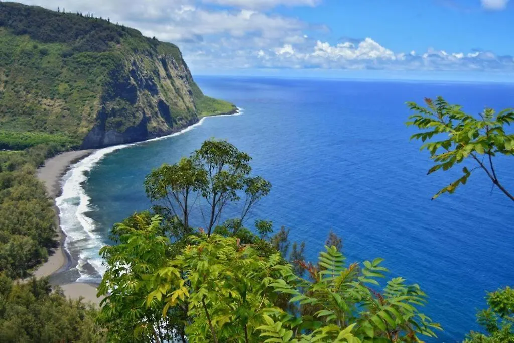 Oceanfront Condo Stunning Views And Pool - Hale Kona Kai 407 By Casago Kona Kailua-Kona 0*,